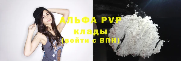 эйфоретик Беломорск