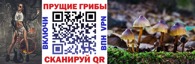 где купить   Пикалёво  Псилоцибиновые грибы ЛСД 